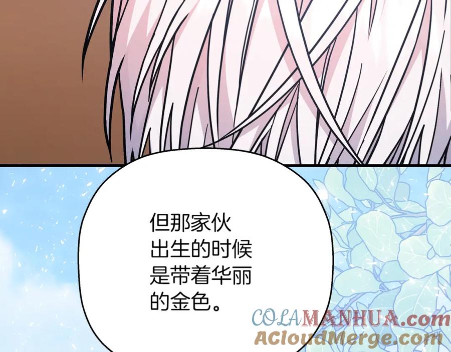 永恒的契约 第一季完结篇 陌生的客人 第281页