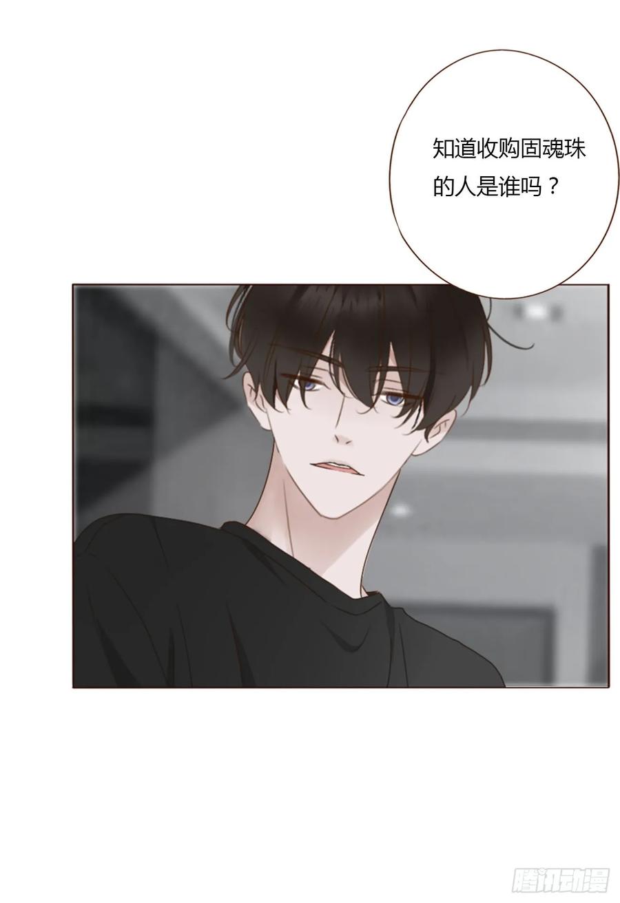 拥然入怀 九十三章 固魂珠2 第6页