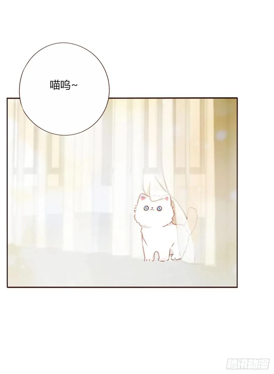 拥然入怀 一一六章 猫妖 第30页