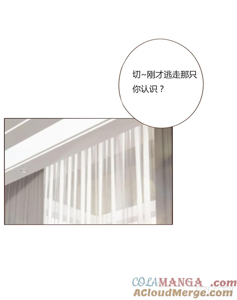 拥然入怀 一三零章 蛮蟒 第7页
