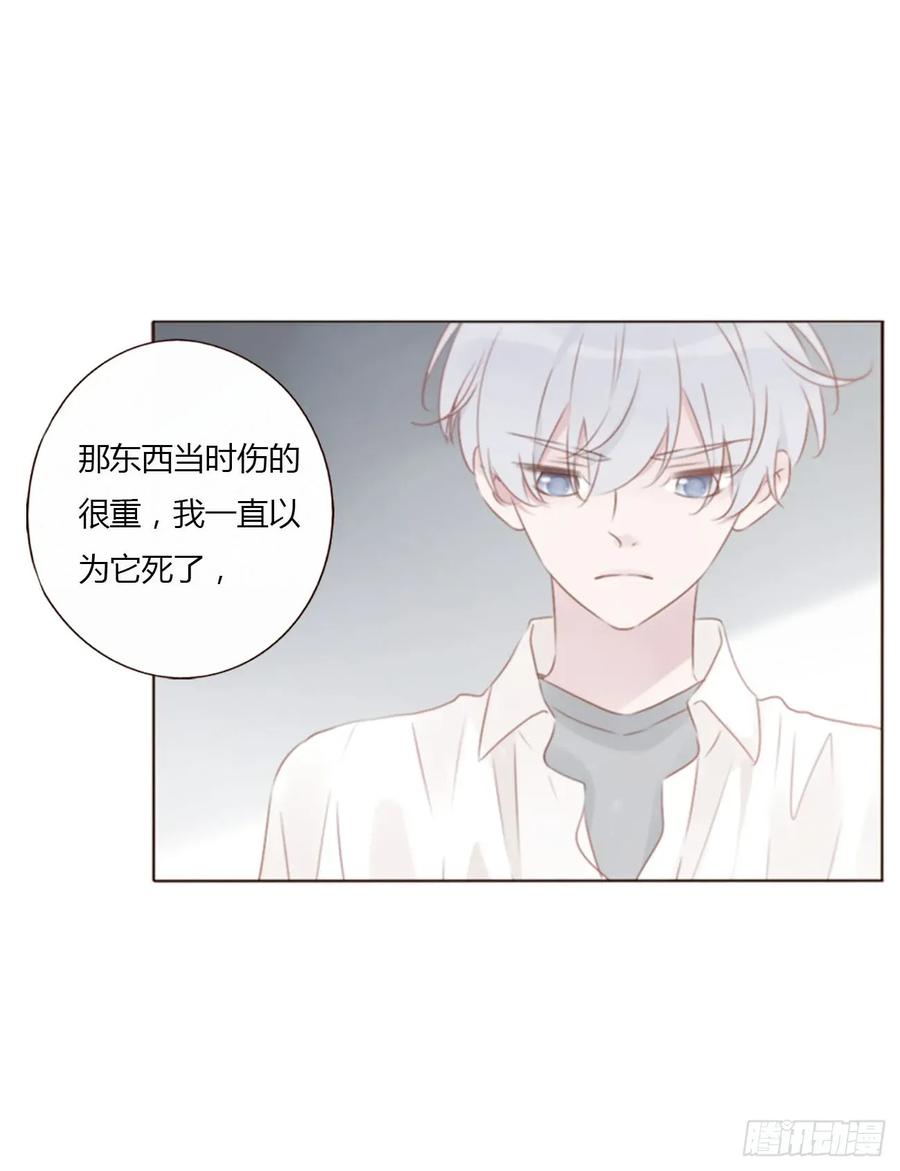 拥然入怀 一三零章 蛮蟒 第18页