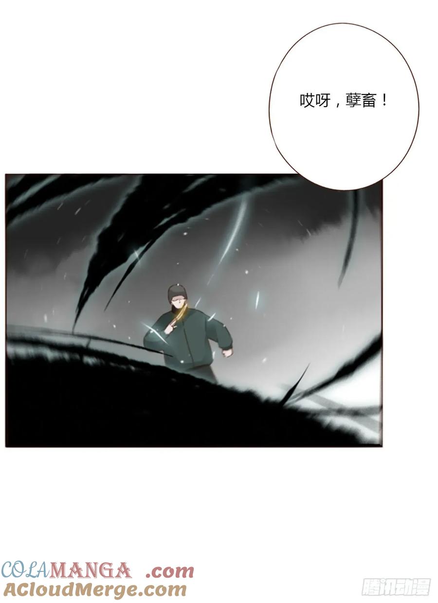 拥然入怀 一三零章 蛮蟒 第15页