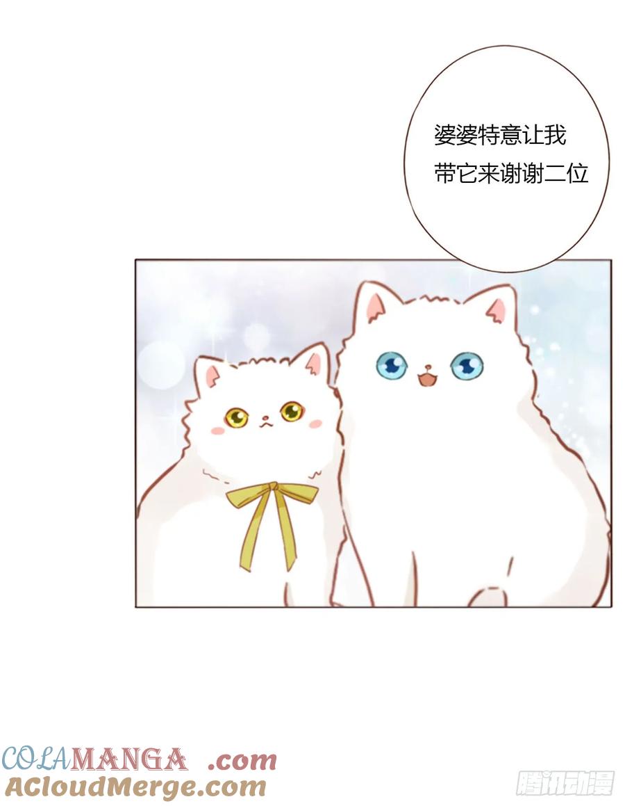 拥然入怀 一三二章 小雪宝 第27页