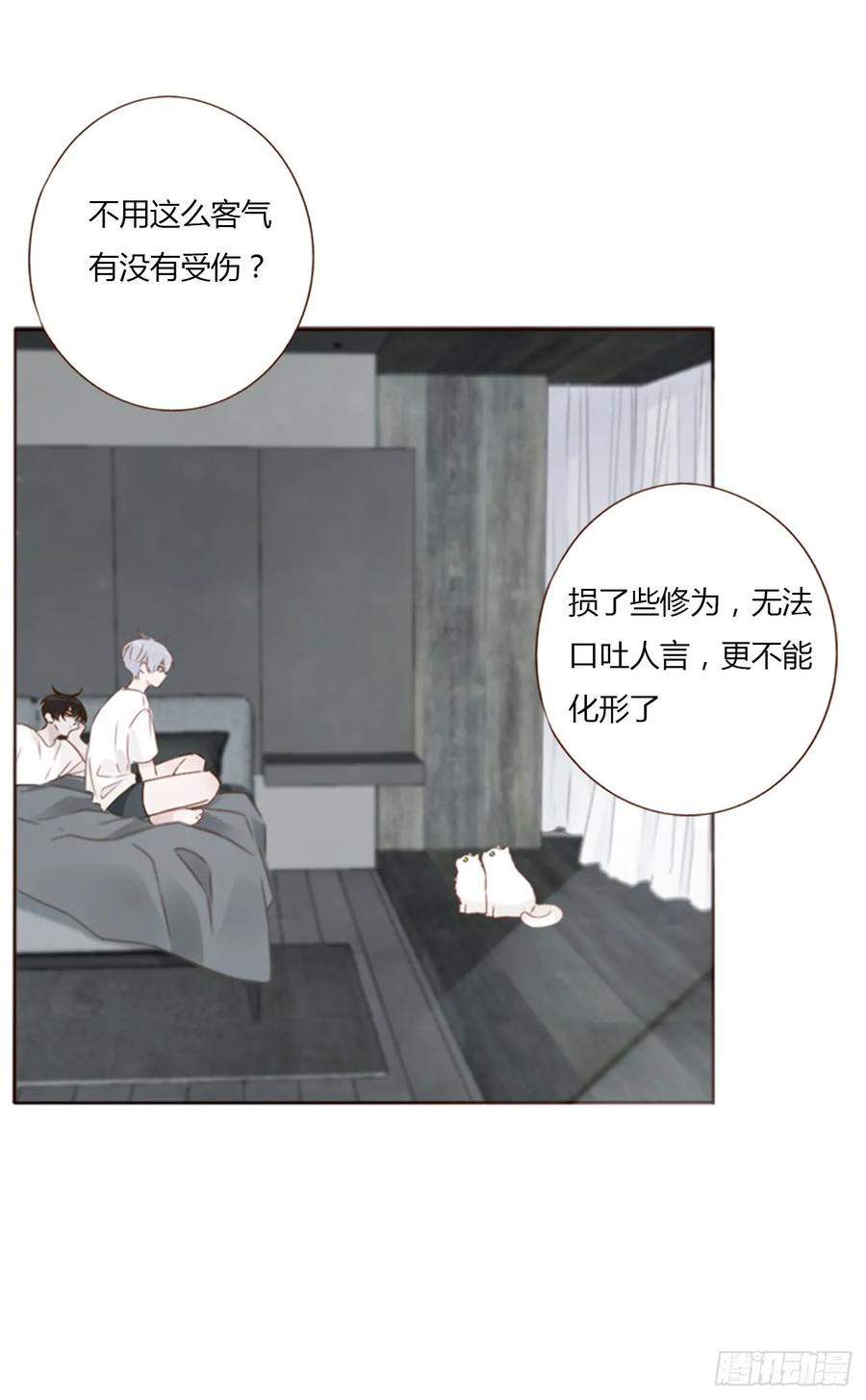 拥然入怀 一三二章 小雪宝 第28页
