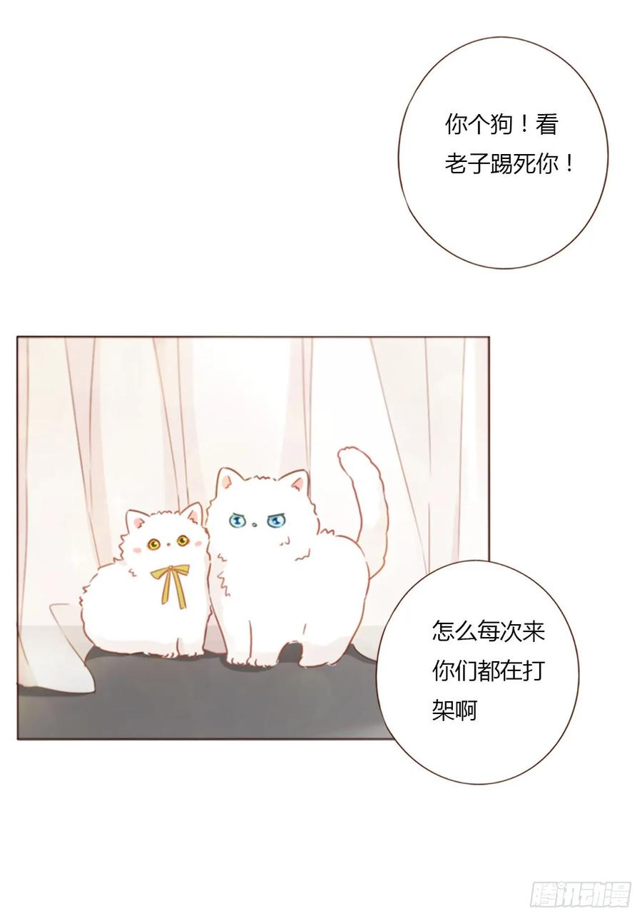 拥然入怀 一三二章 小雪宝 第24页