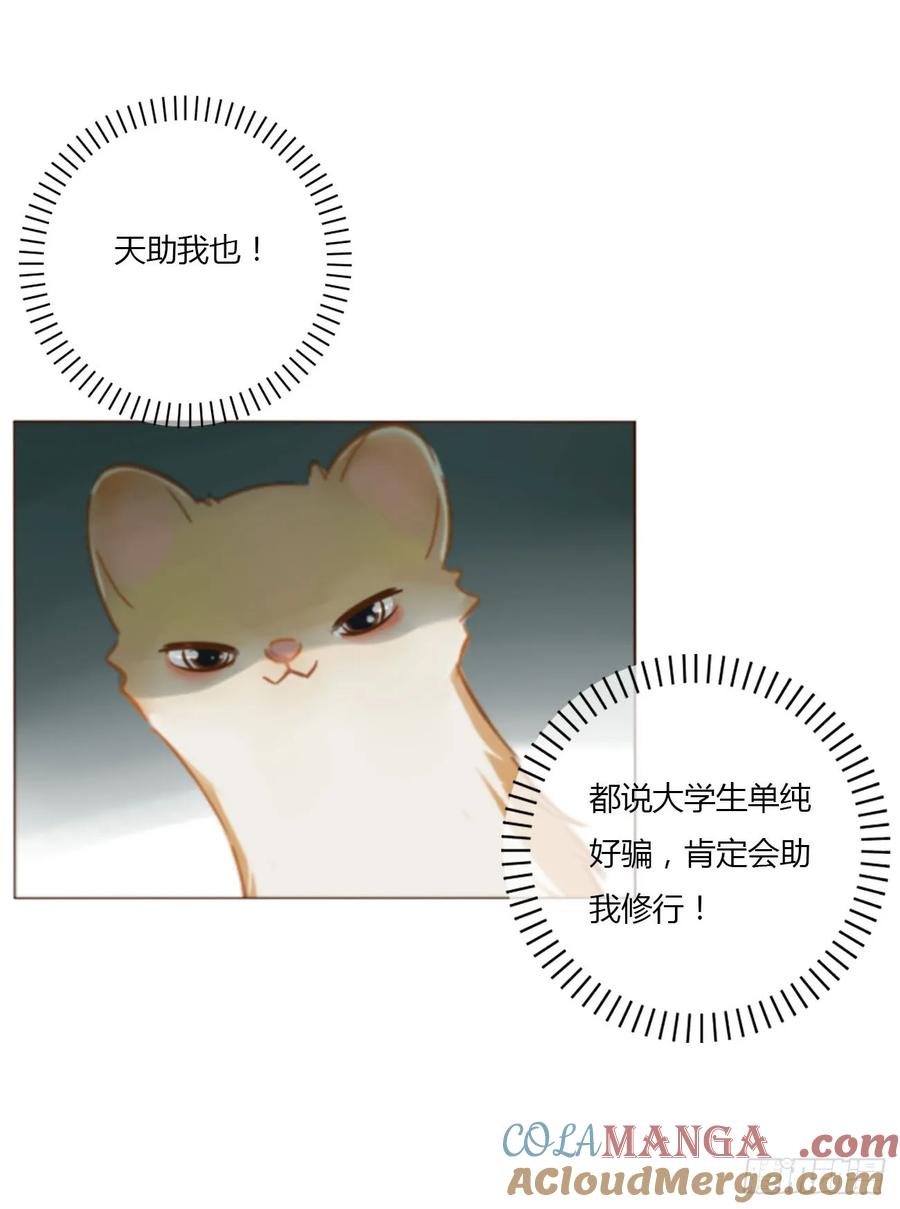 拥然入怀 一四一章 叶梓 第3页