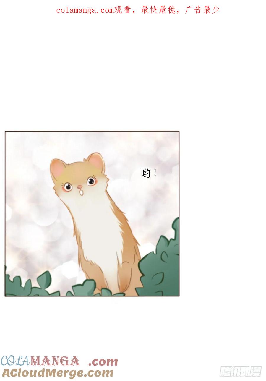 拥然入怀 一四一章 叶梓 第1页