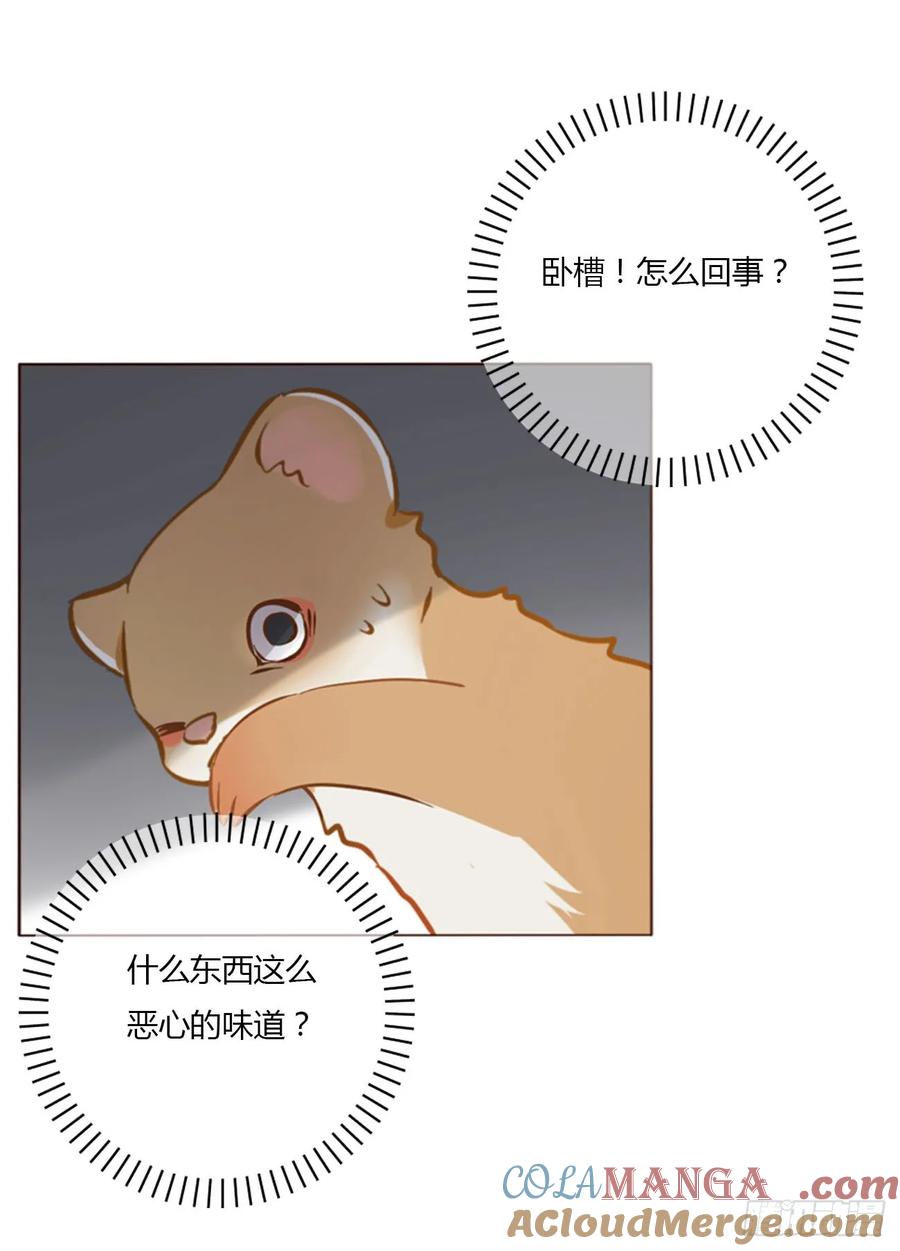拥然入怀 一四一章 叶梓 第9页