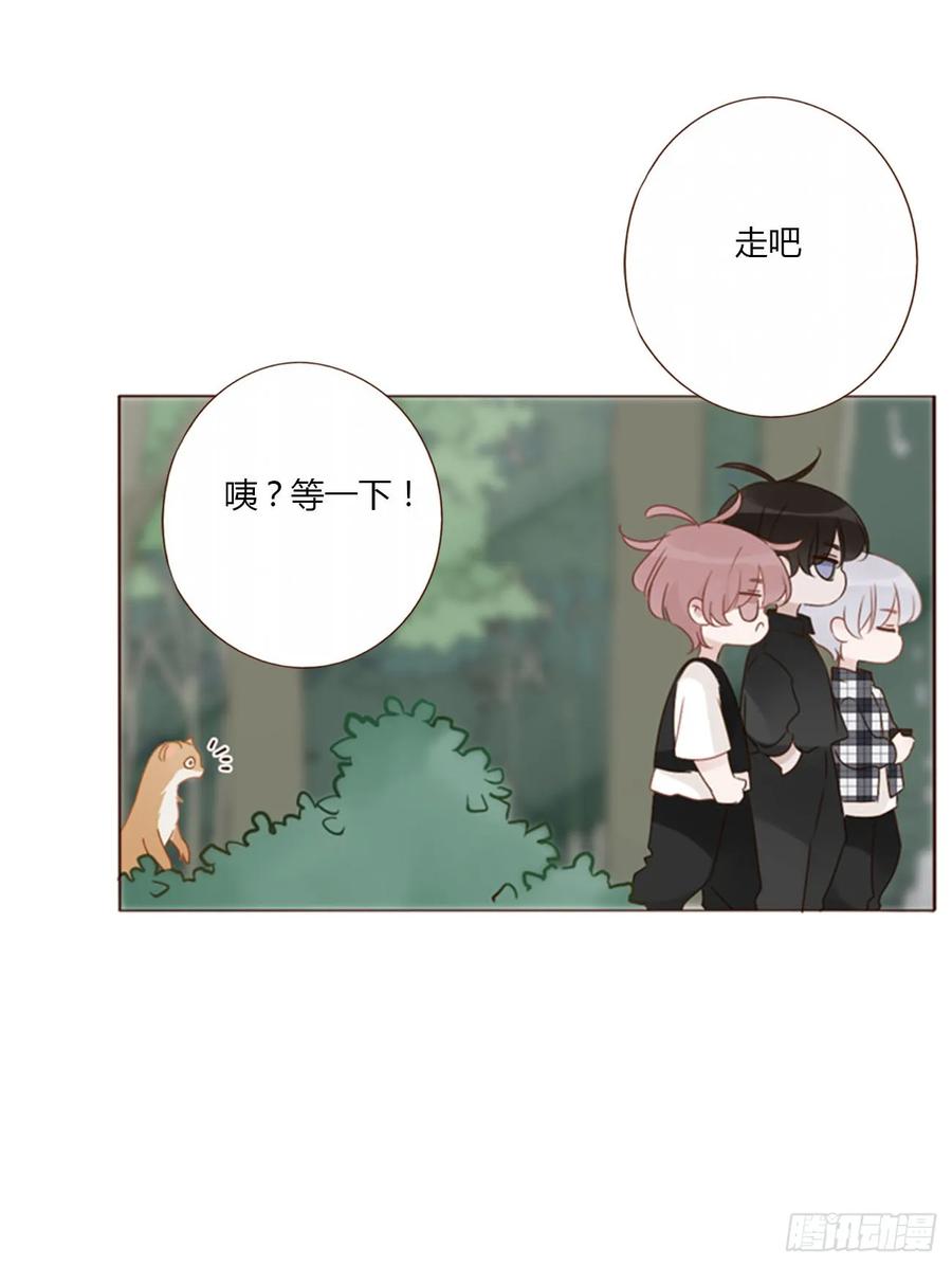 拥然入怀 一四一章 叶梓 第4页