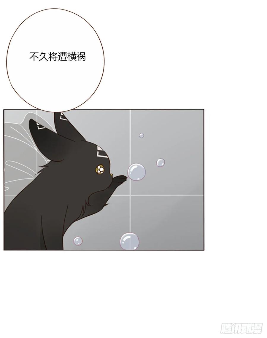 拥然入怀 一四二章 六爷爷 第14页