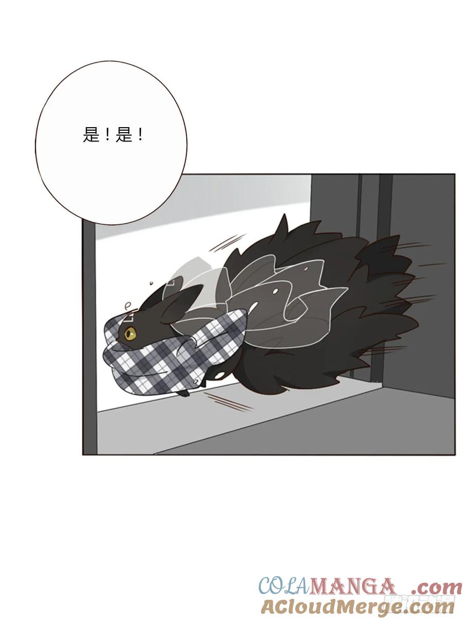 拥然入怀 一四二章 六爷爷 第19页