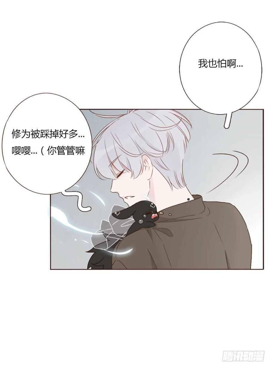 拥然入怀 一四六章 小碗3 第4页