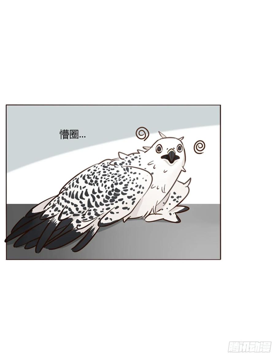 拥然入怀 一四八章 挖墙脚 第25页