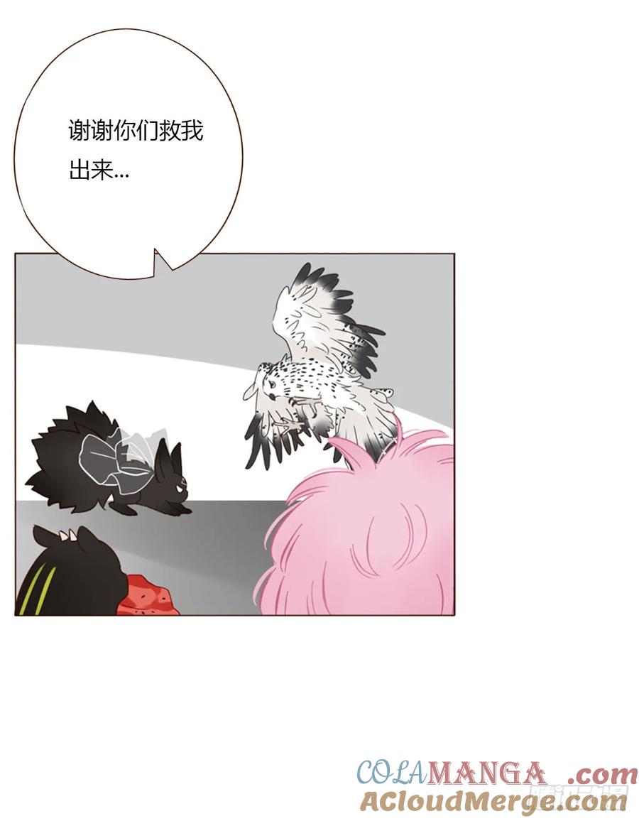 拥然入怀 一四八章 挖墙脚 第27页