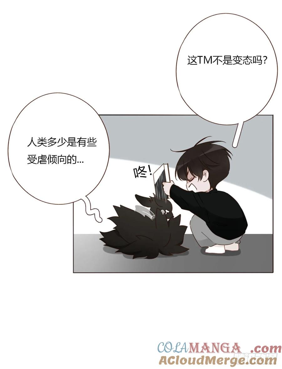 拥然入怀 一六五章 馊主意 第37页