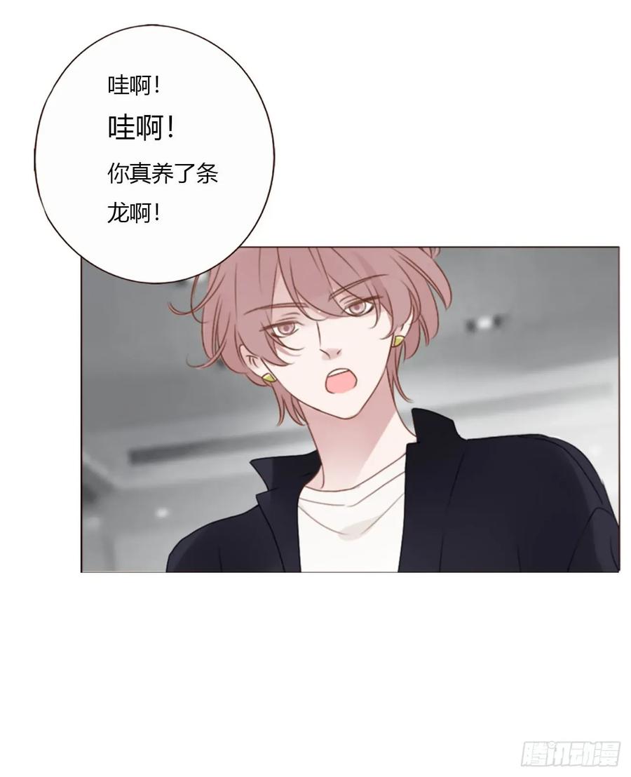 拥然入怀 一七一章 寒龙 第27页