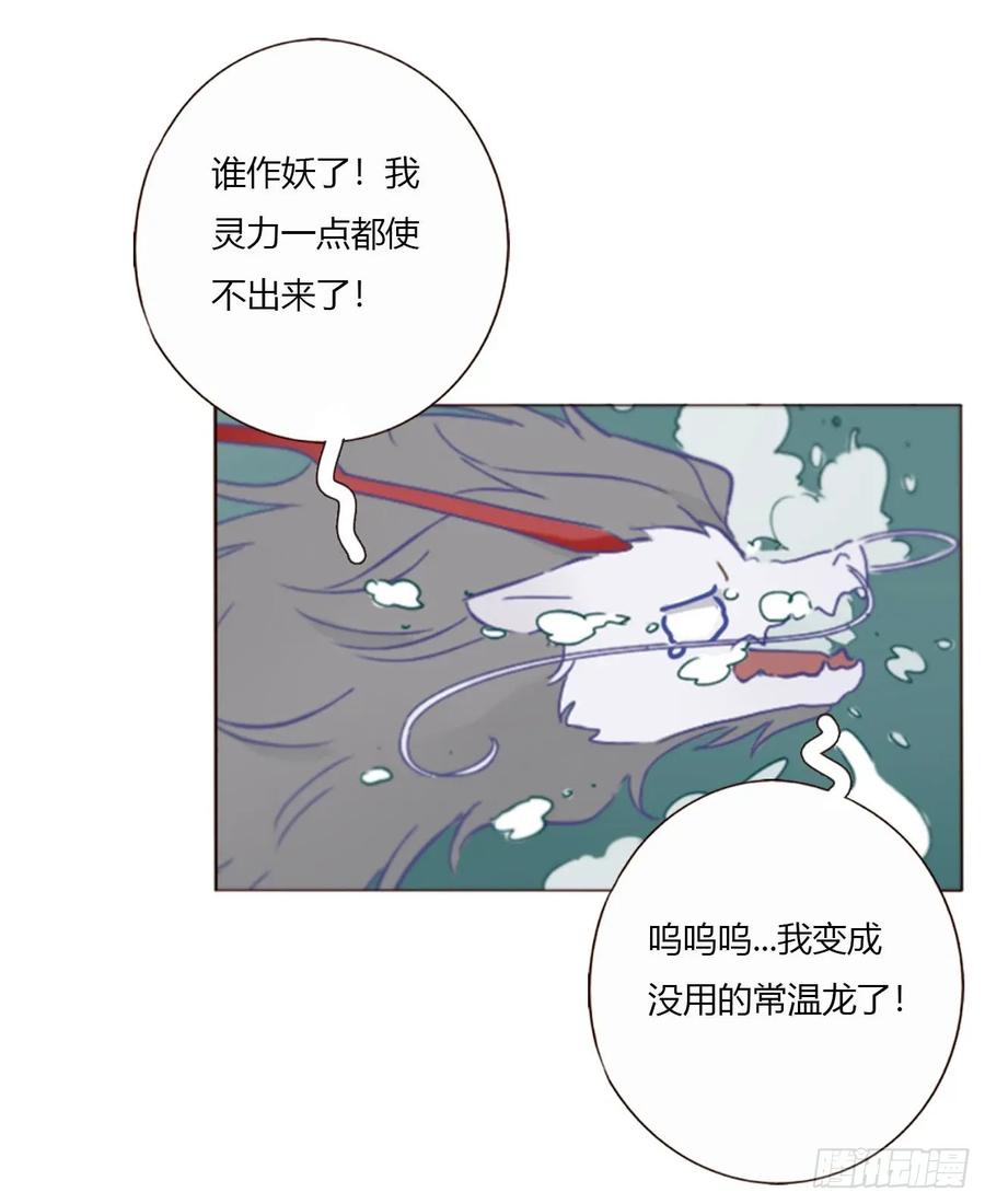 拥然入怀 一七一章 寒龙 第29页