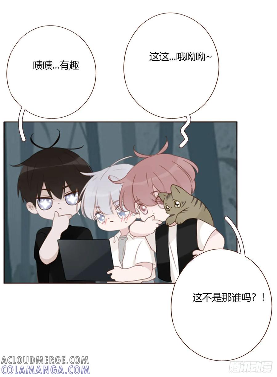 拥然入怀 一九一章 清算3 第15页