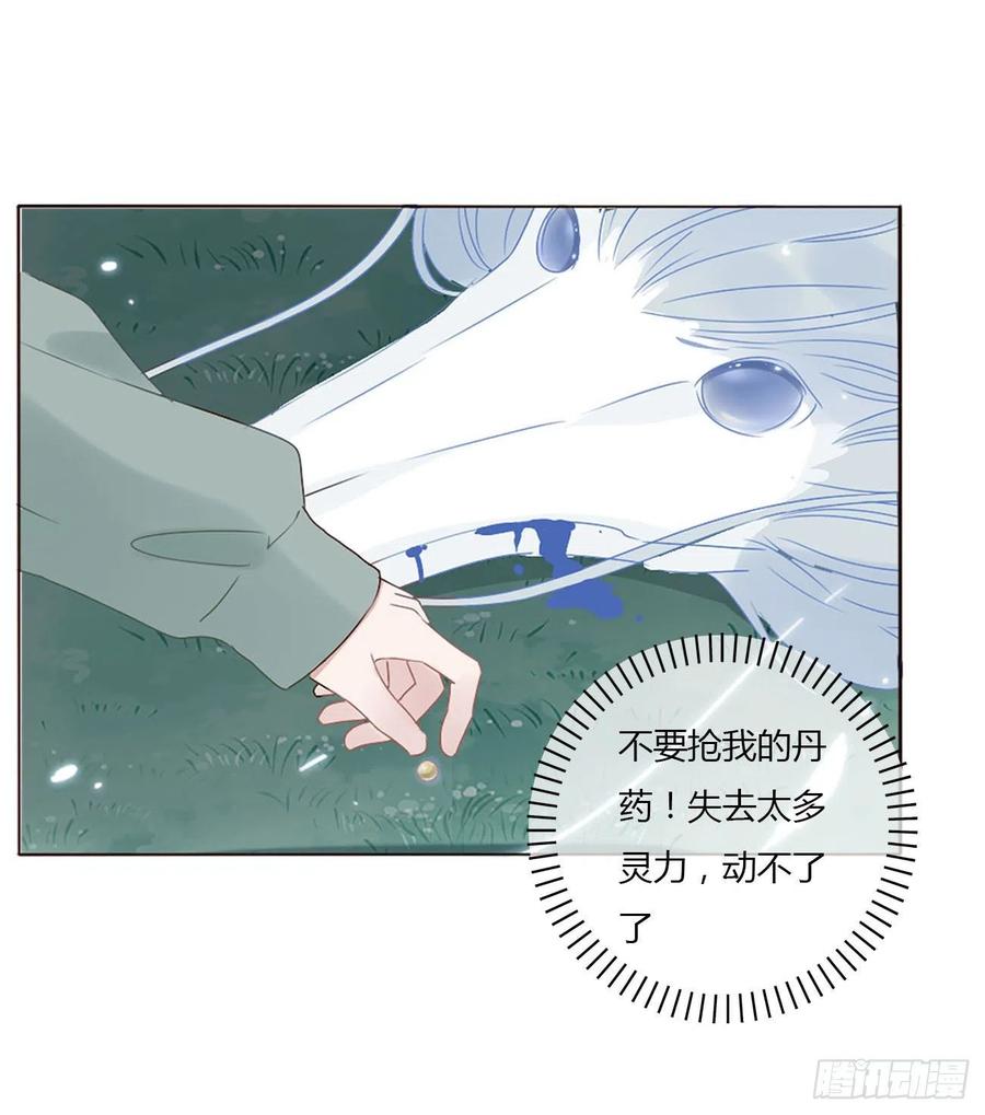 拥然入怀 二十章 做我的狗狗 第38页