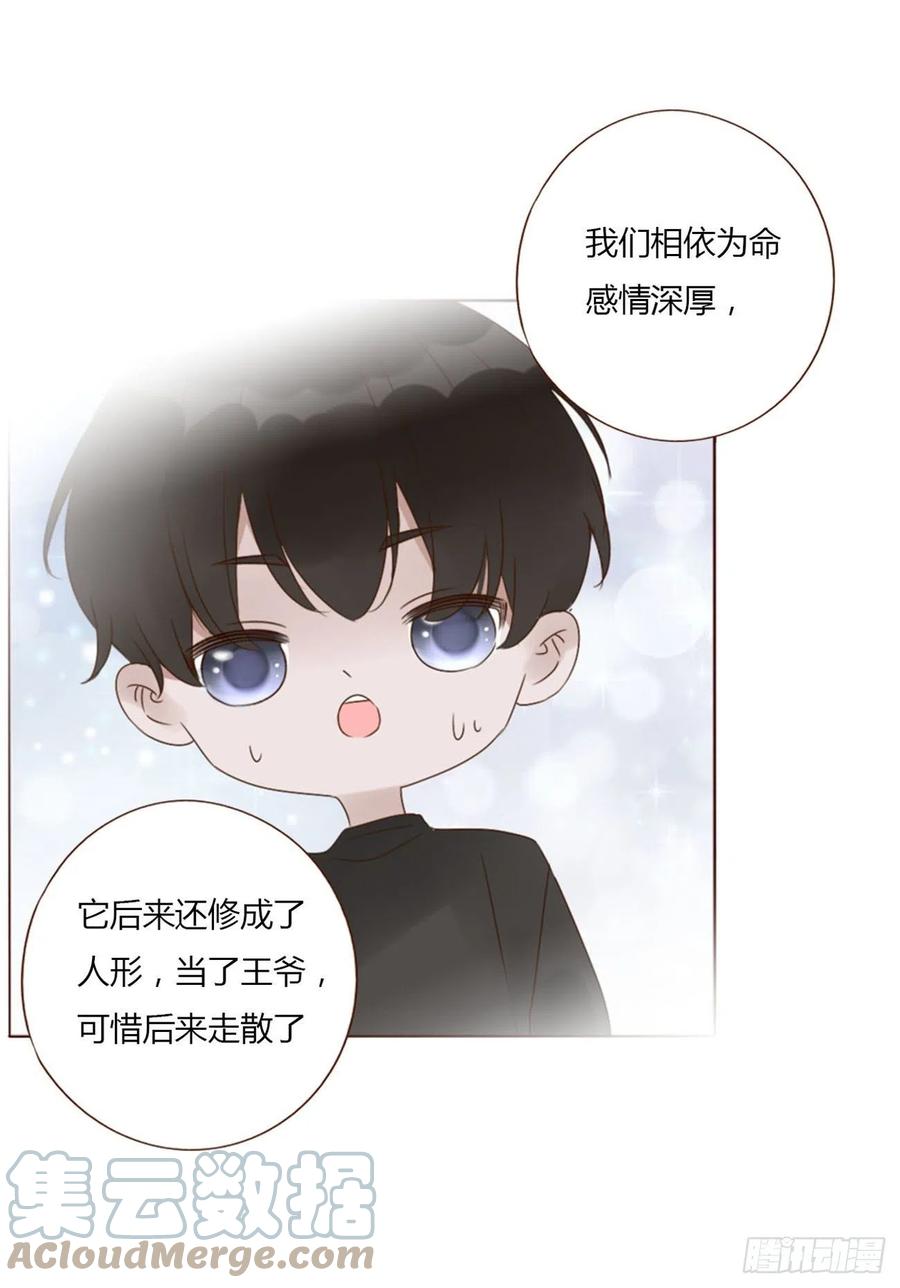 拥然入怀 二十九章 记忆 第15页