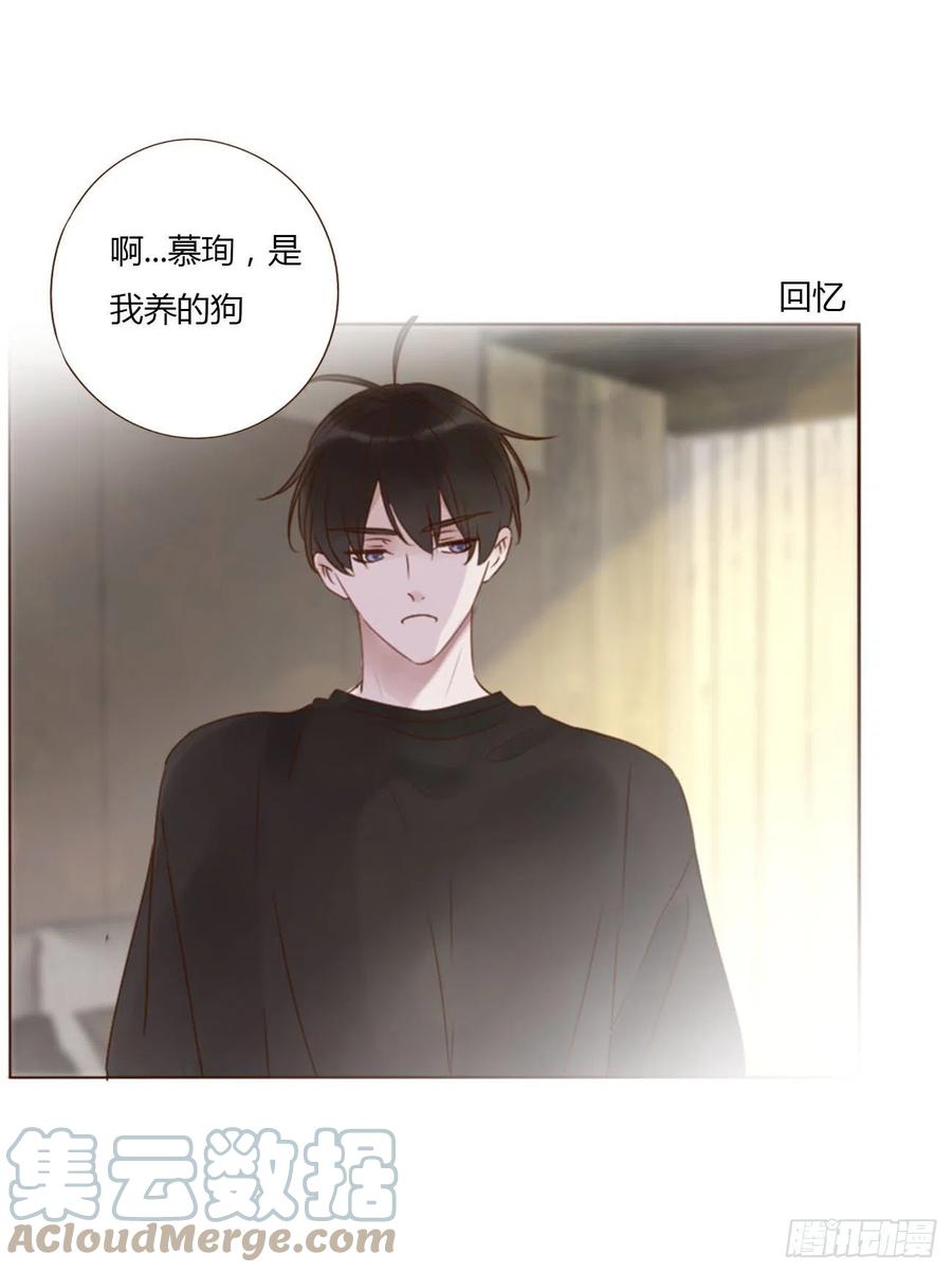 拥然入怀 二十九章 记忆 第13页