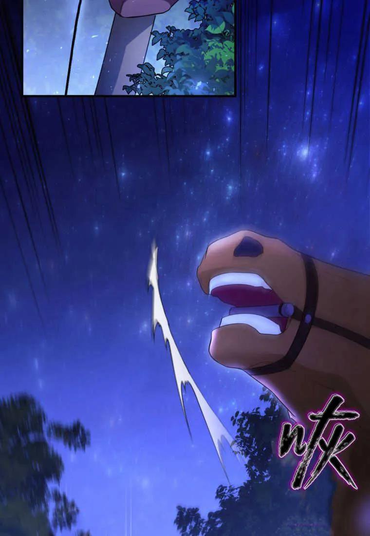成为苏尔坦珍爱的猫咪 第39话 第21页