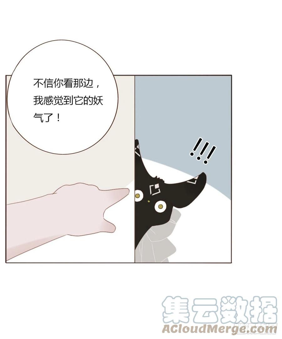 拥然入怀 三十四章 信任 第21页