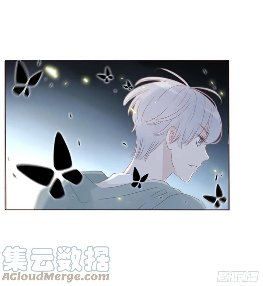 拥然入怀 四十一章 辰洛 第11页