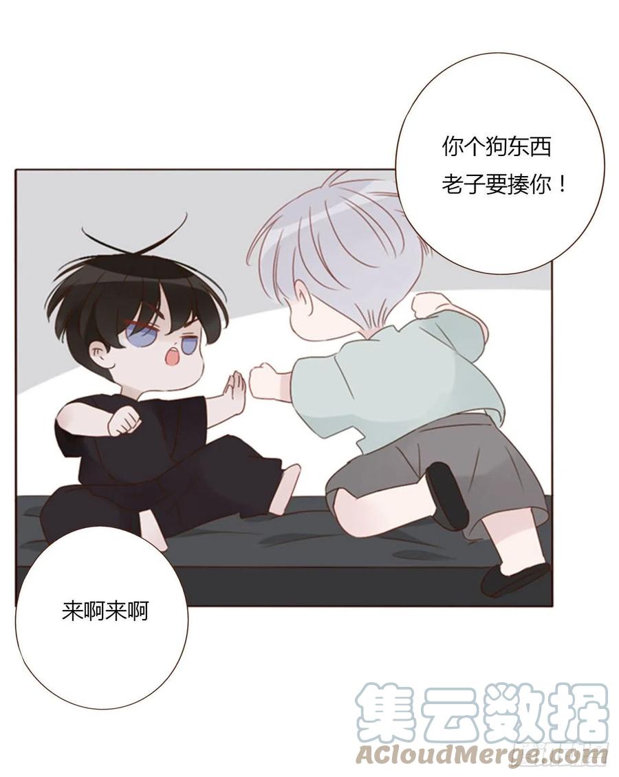拥然入怀 四十九章 打架了 第3页