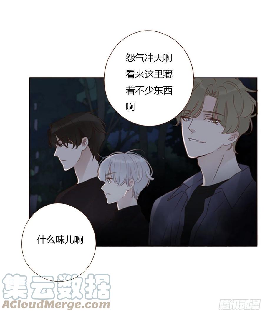 拥然入怀 五十章 邪修 第17页