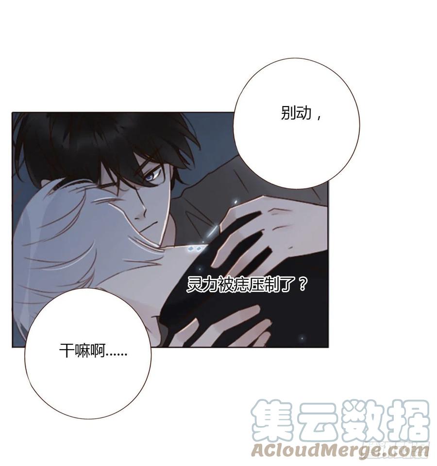 拥然入怀 五十三章 四菱痣 第15页
