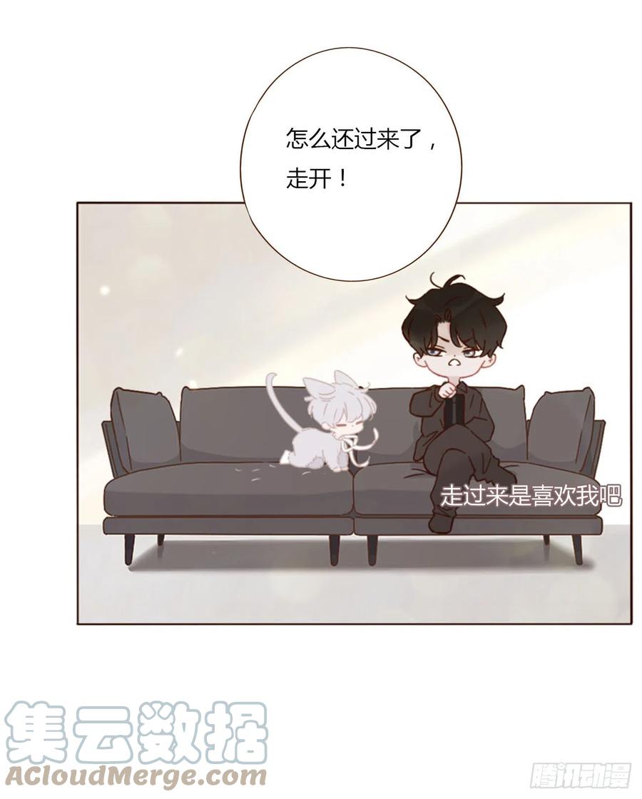 拥然入怀 小番外 第5页