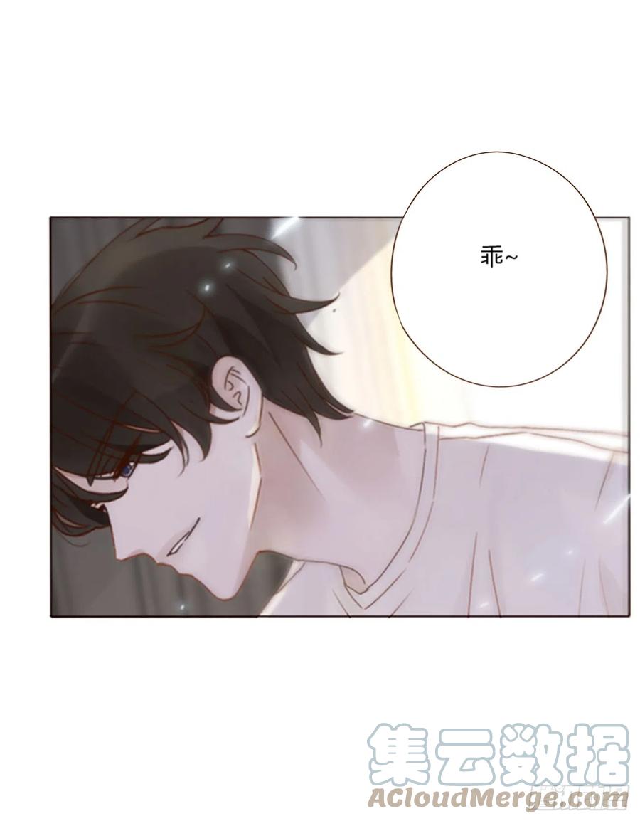 拥然入怀 六十四章 障眼法 第6页