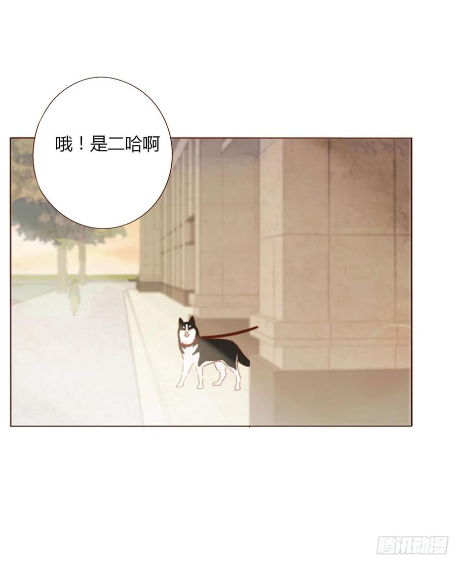 拥然入怀 六十六章 殷主簿1 第28页