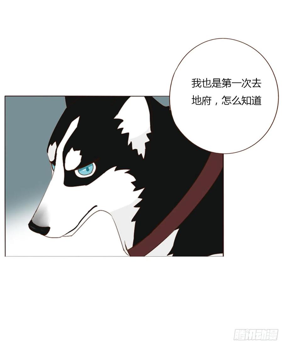 拥然入怀 六十七章 殷主簿2 第11页