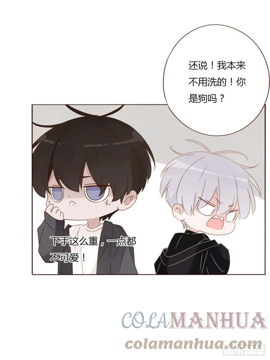 拥然入怀 七十六章 找“狗” 第8页