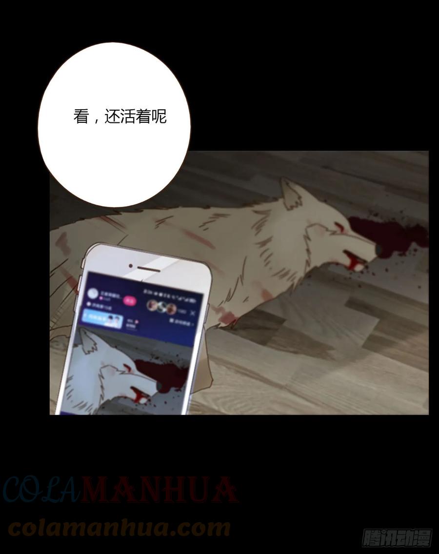 拥然入怀 七十六章 找“狗” 第20页