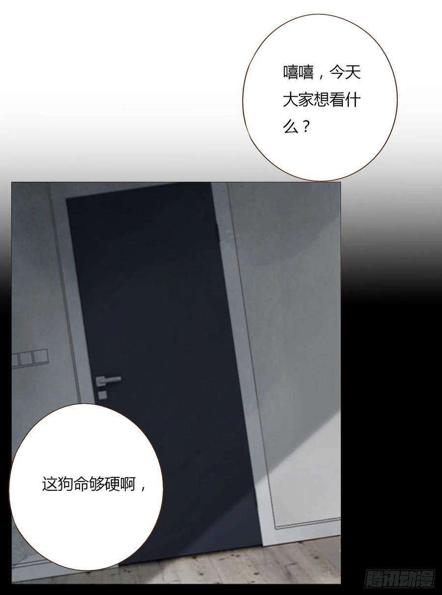 拥然入怀 七十六章 找“狗” 第17页