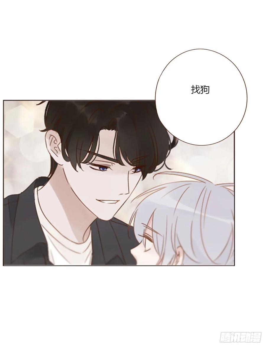 拥然入怀 七十六章 找“狗” 第13页
