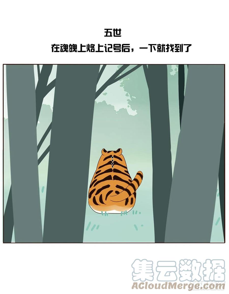 拥然入怀 关于赫连苍荼的转世 第13页