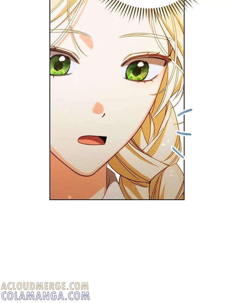 《成为被诅咒的公爵家的女主人》46.你是我的责任 第37页