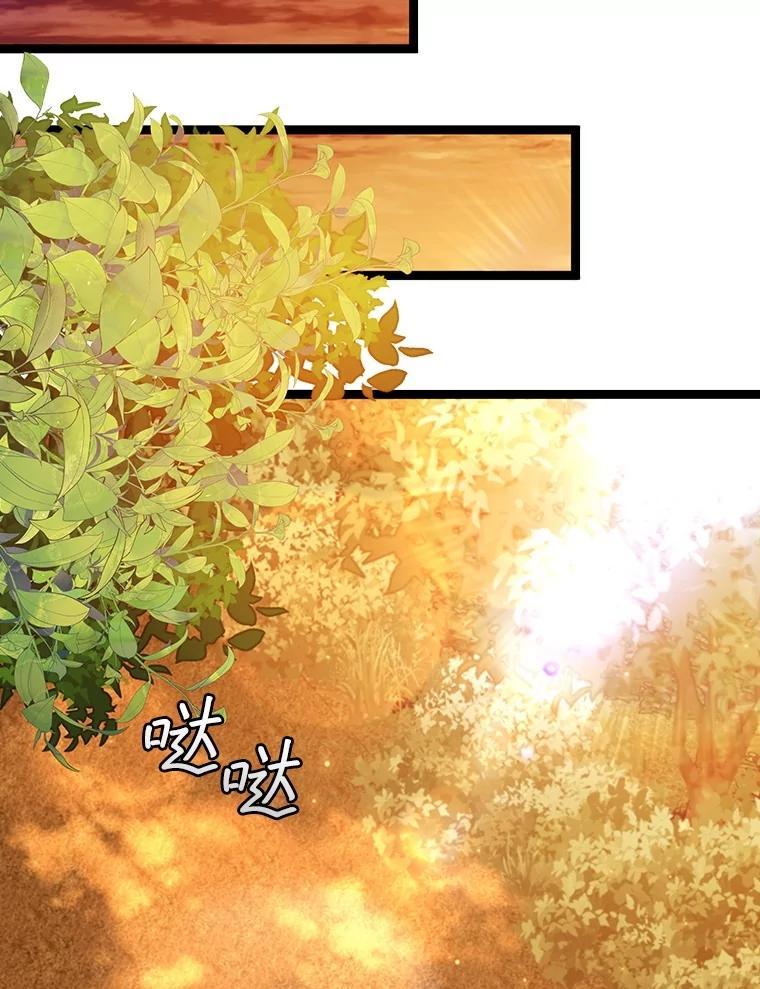 《噬龙魔法师》75.建国公 第135页