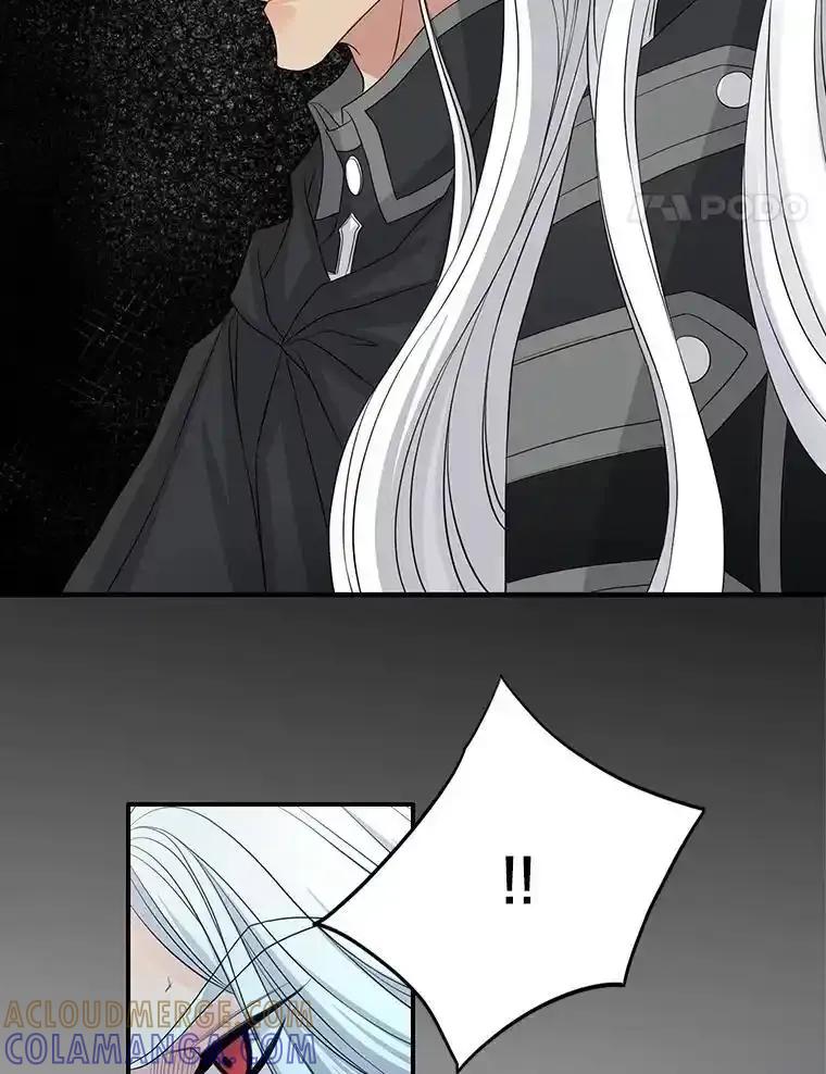 《第8位契约新娘》85.一切都结束了 第29页