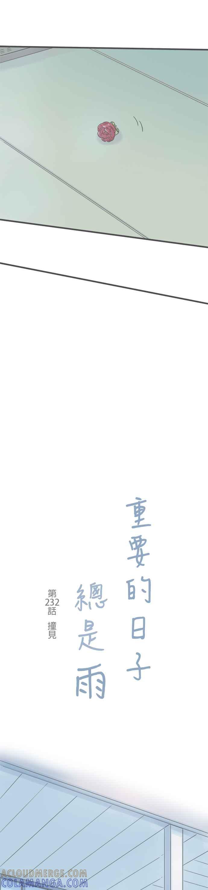 《重要的日子总是雨》第232话 撞见 第5页
