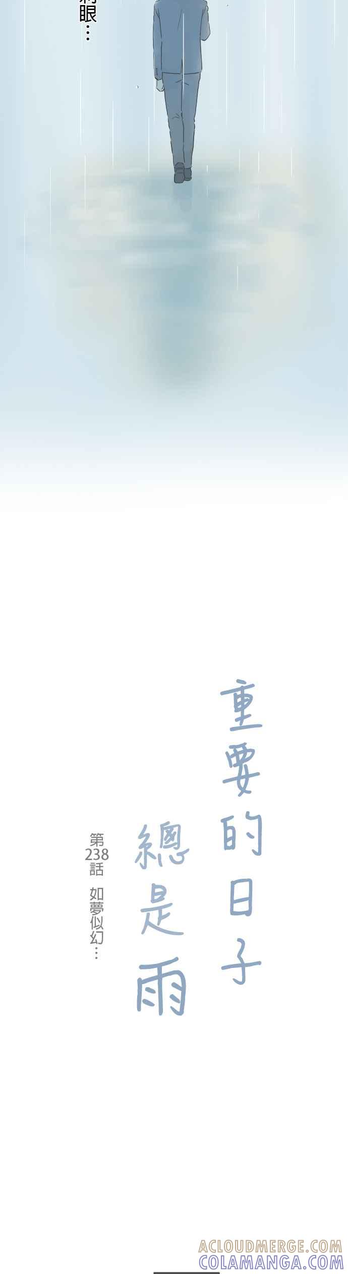 《重要的日子总是雨》第238话 如梦似幻⋯ 第10页