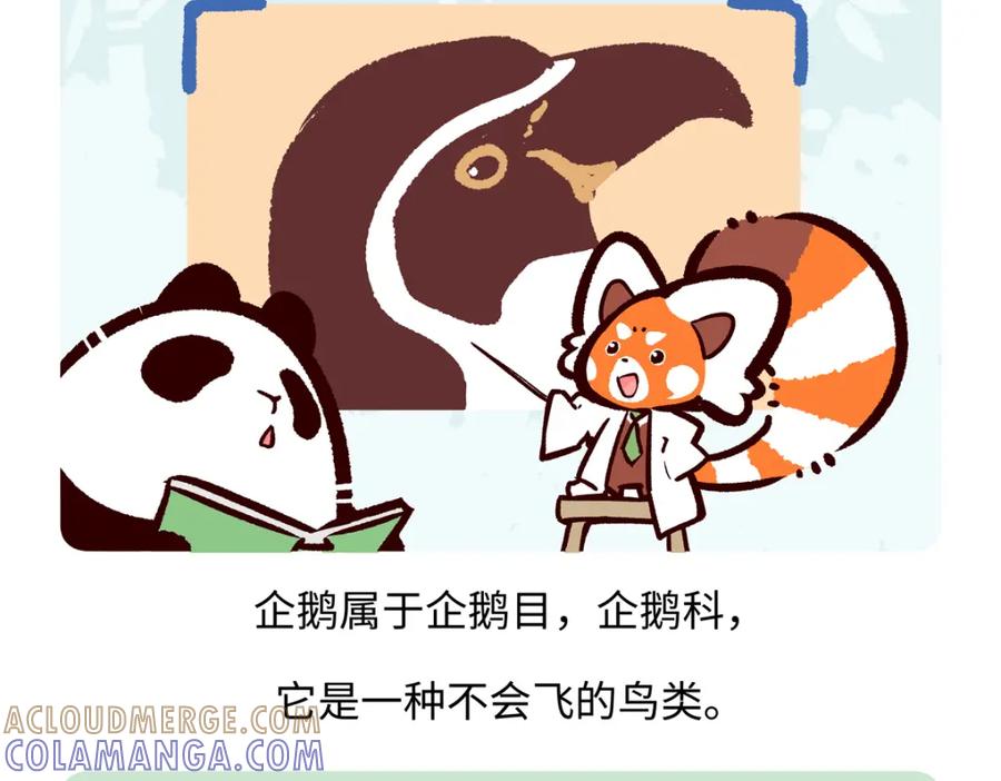 《胖达x胖达》第270话 第19页
