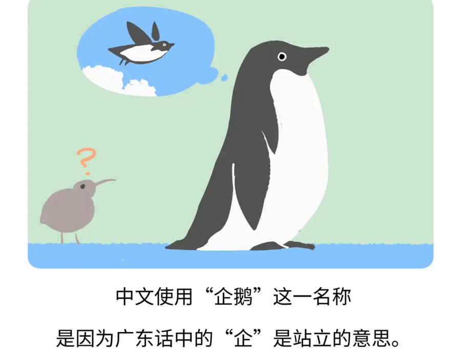 《胖达x胖达》第270话 第20页