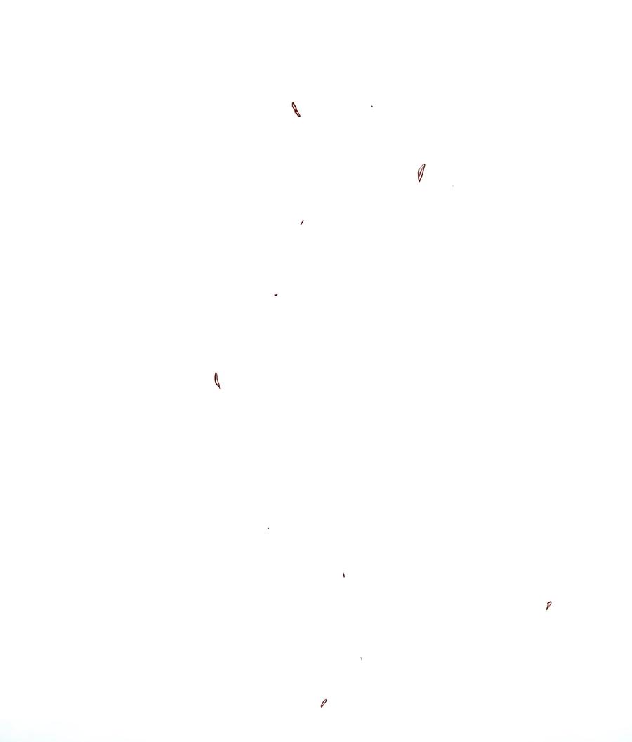 勇者们都想和魔王修炼 - （第三季）013 野外探险 - 第44张图