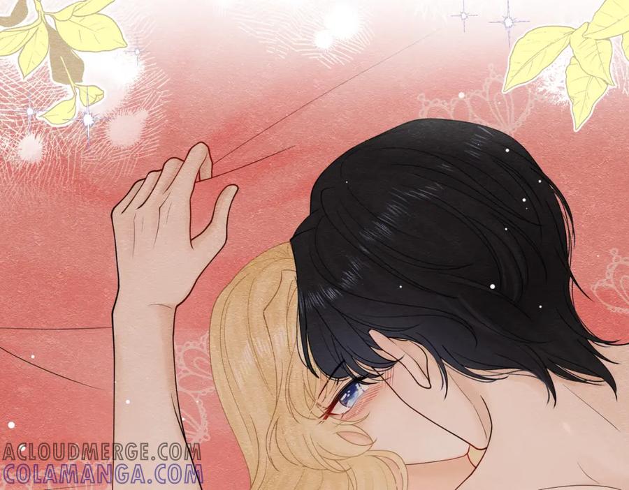 《被主教大人宠爱的日子》19 被确定的新娘（上） 第37页
