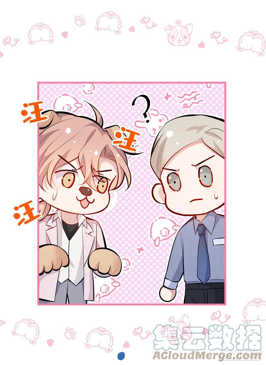 又被男神撩上热搜 第96话 他们在说什么鸟语 第34页